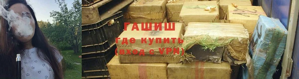 крисы Магас