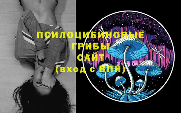 крисы Магас