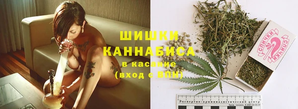 стафф Тайга