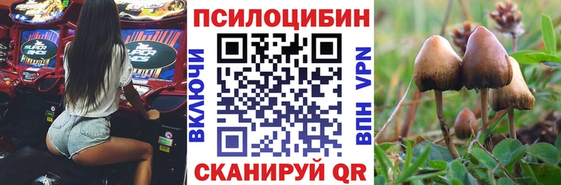 Псилоцибиновые грибы прущие грибы купить Октябрьск